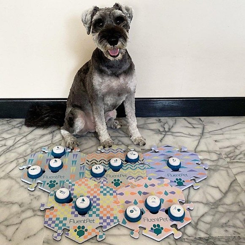 Fluent Pet Button (Great Gift for Pet Owners!) - Picture 10 of 13